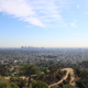 Illustration for article titled Griffith Park Photodump